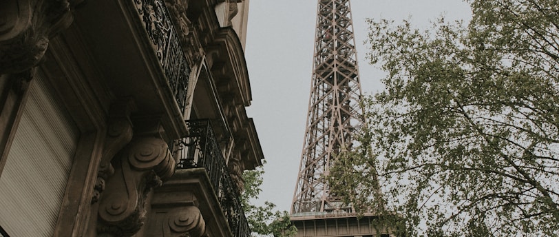 Air France: Weighing the Advantages, Disadvantages, and Pricing Dynamics